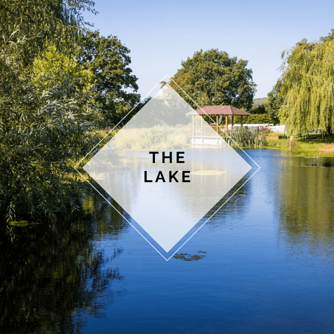 the lake